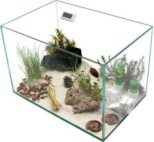 Ameisenkomplettset XXL-N2 Ameisenfarm S9 + Ameisen