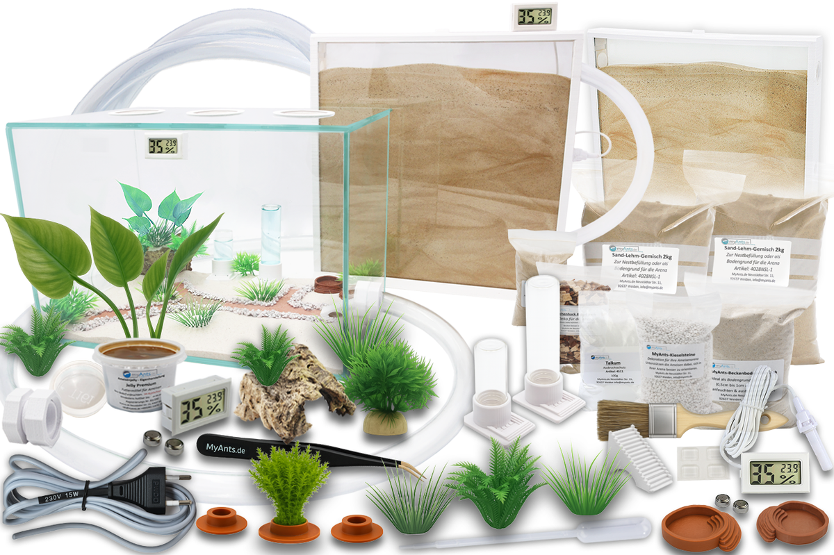 Ameisenkomplettset XXL-D 2x Ameisenfarm S7 + Ameise