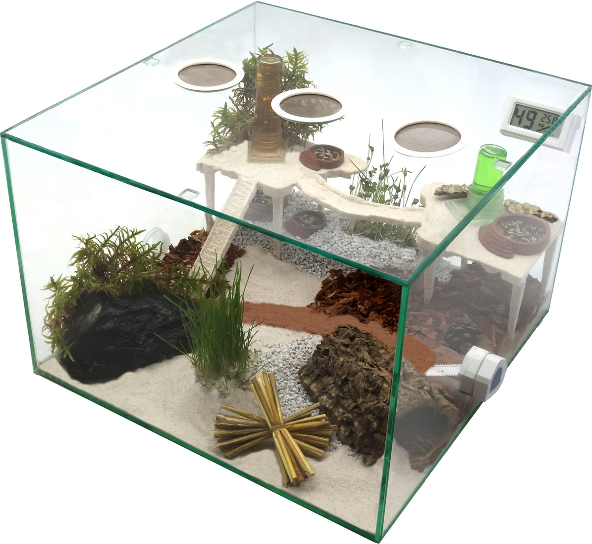 Ameisenfarm Komplettset 3XL - N2 & Ameisenfarm S10