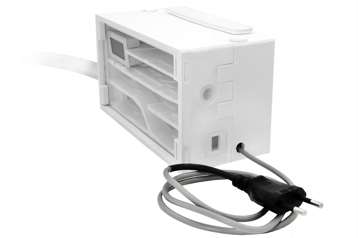 Ameisenkomplettset XL-S Ameisenfarm H1 & Ameisen nach Wahl